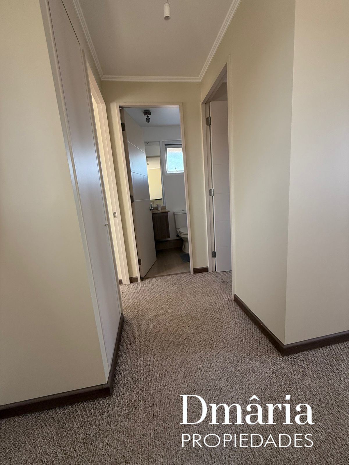 WhatsApp Image 2025-07-08 at 10.27.49 PM (1)_68705af770184.jpeg